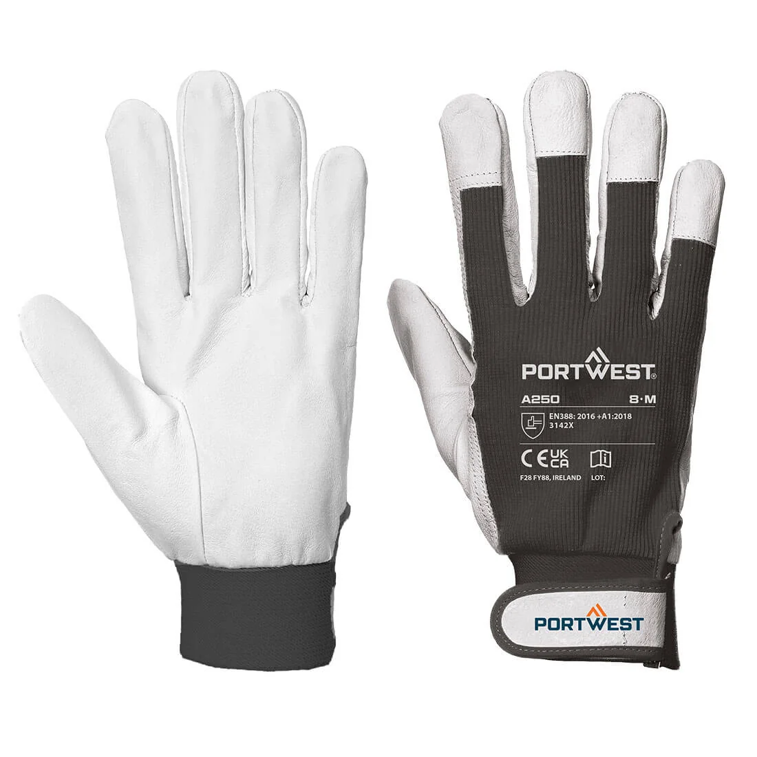 PORTWEST A250 Tergsus Handschoen Zwart