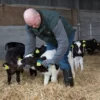 Purofort Professional beroepslaars aanzicht 8