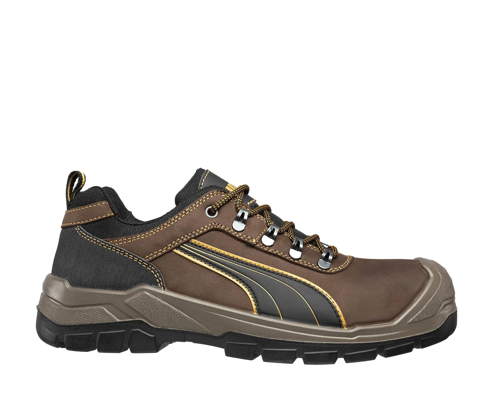 PUMA SIERRA NEVADA LOW Bruin