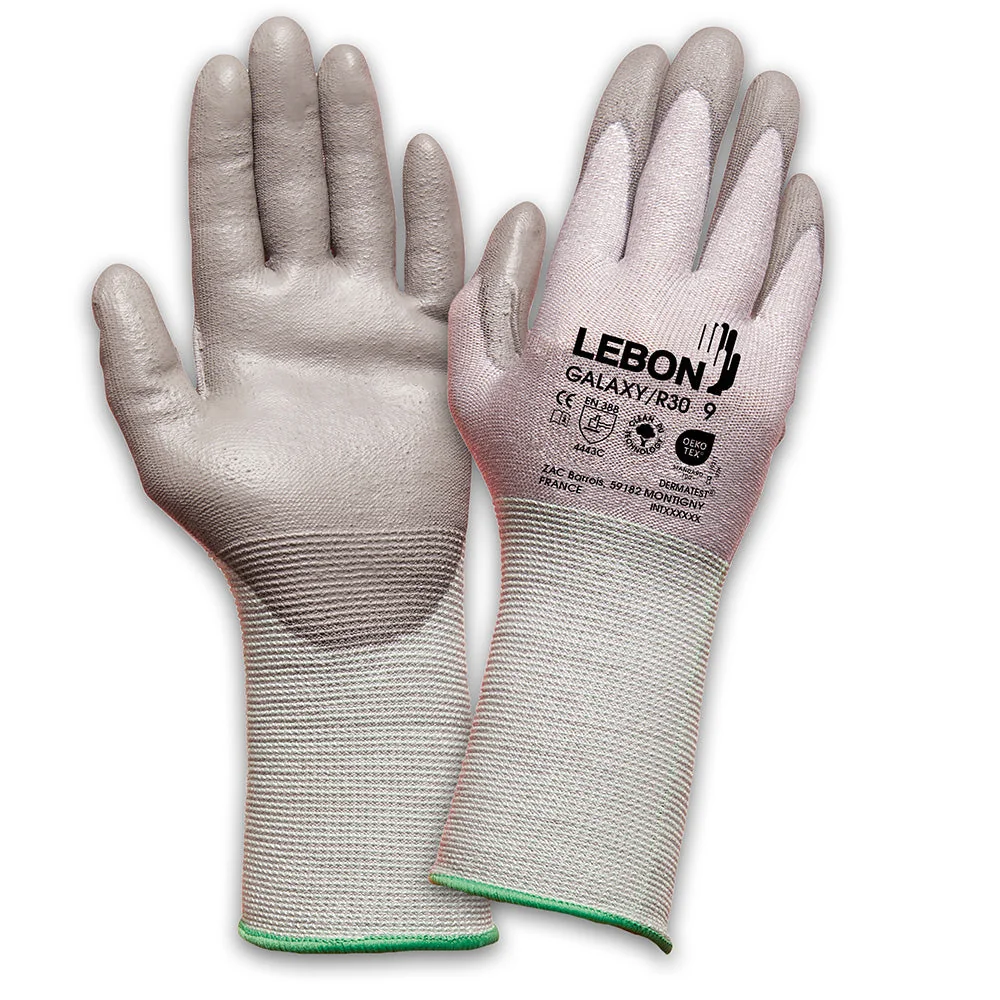 LEBON GALAXY/R30