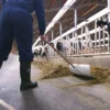 Steplite EasyGrip O4 aanzicht 4