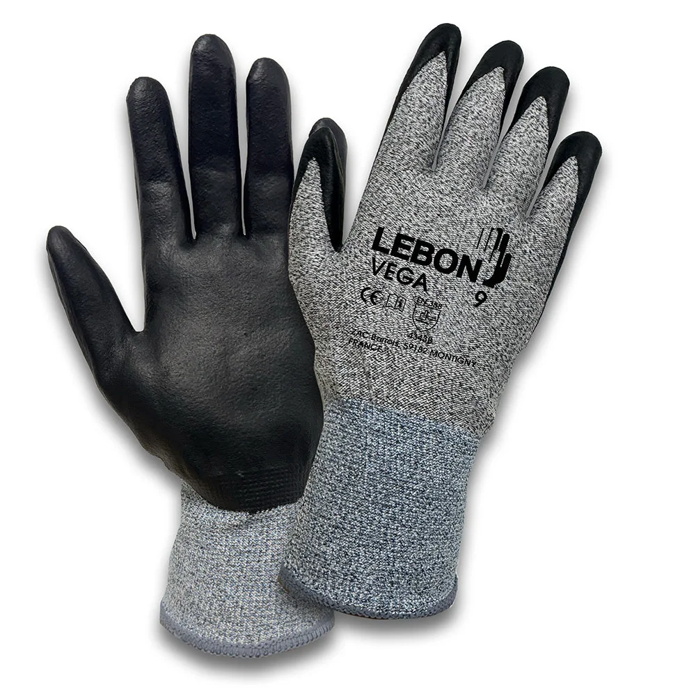 LEBON VEGA