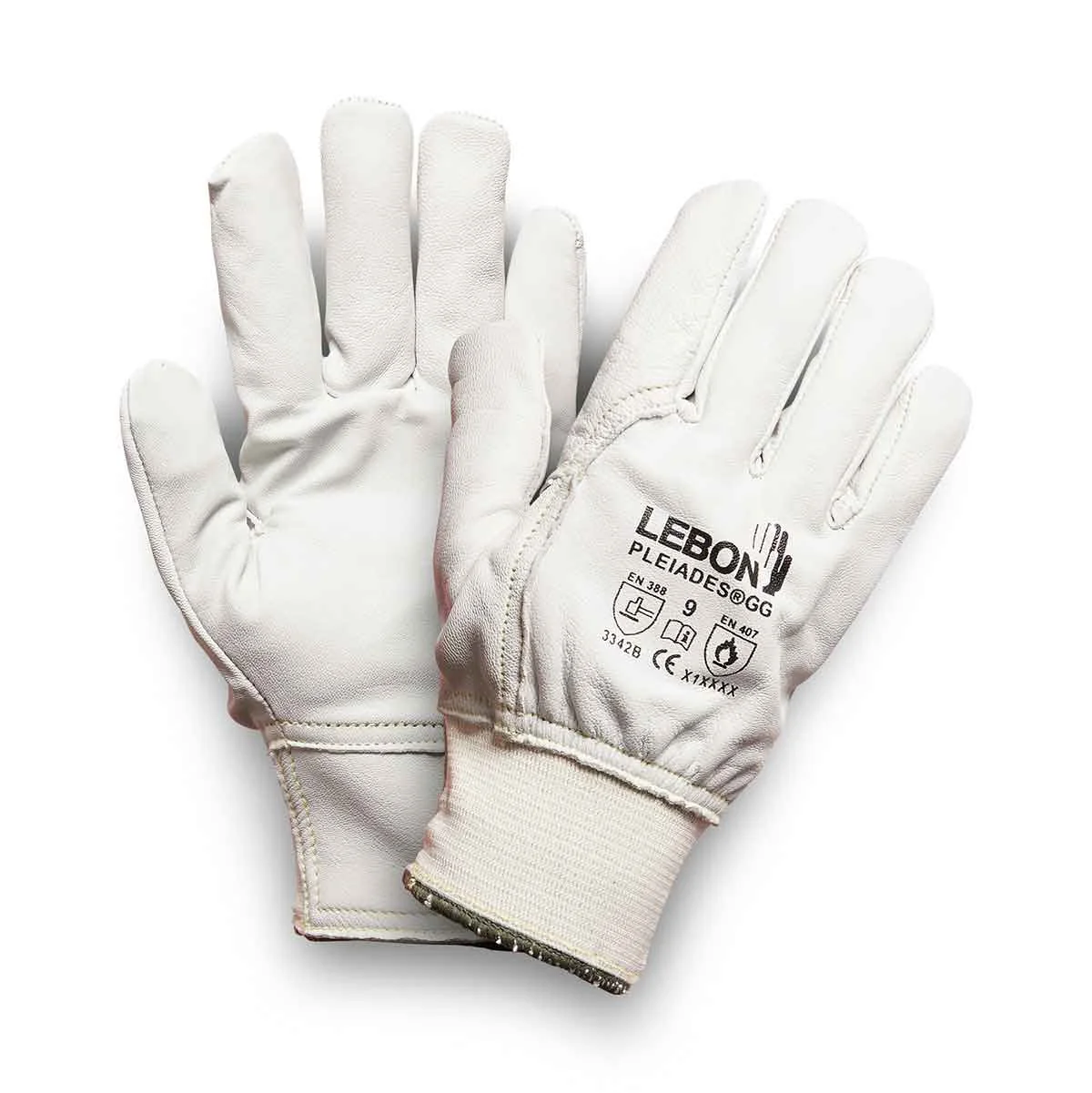 LEBON CASSIOPEE/26