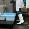 Purofort FoodPRO MultiGrip Safety aanzicht 6