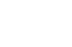 PUMA Safety